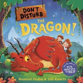 Findlay | Don't Disturb the Dragon | Buch | 978-0-241-56231-4 | www.sack.de
