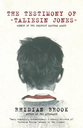 Brook |  The Testimony of Taliesin Jones | Buch |  Sack Fachmedien