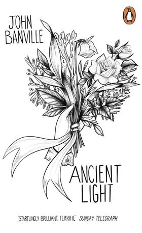 Banville |  Ancient Light | Buch |  Sack Fachmedien