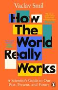Smil |  How the World Really Works | Buch |  Sack Fachmedien