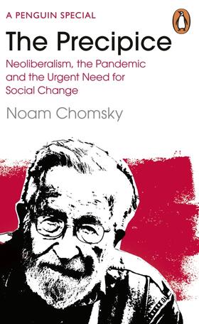 Chomsky / Polychroniou |  The Precipice | Buch |  Sack Fachmedien