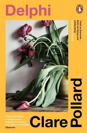 Pollard |  Delphi | Buch |  Sack Fachmedien