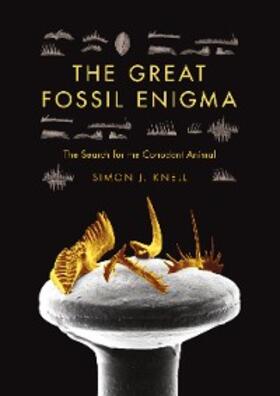 Knell |  The Great Fossil Enigma | eBook | Sack Fachmedien