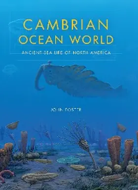 Foster |  Cambrian Ocean World | eBook | Sack Fachmedien