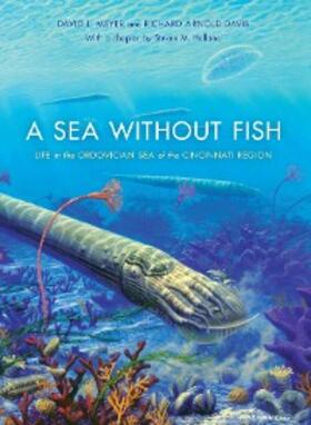 Meyer / Davis |  A Sea without Fish | eBook | Sack Fachmedien