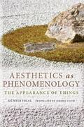 Figal |  Aesthetics as Phenomenology | eBook | Sack Fachmedien