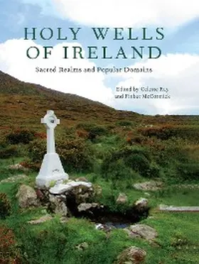 Ray / McCormick |  Holy Wells of Ireland | eBook | Sack Fachmedien