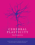 Chalupa / Berardi / Caleo |  Cerebral Plasticity: New Perspectives | Buch |  Sack Fachmedien
