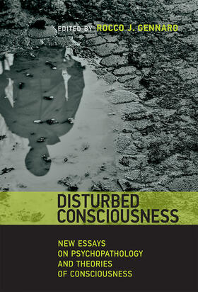 Gennaro | Disturbed Consciousness | Buch | 978-0-262-02934-6 | sack.de
