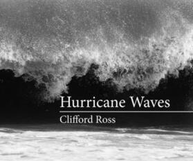 Ross / Clarke | Hurricane Waves | Buch | 978-0-262-02997-1 | sack.de