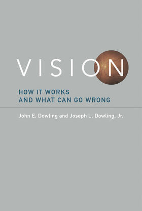 Dowling / Jr |  Vision: How It Works and What Can Go Wrong | Buch |  Sack Fachmedien