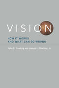 Dowling / Jr. |  Vision: How It Works and What Can Go Wrong | Buch |  Sack Fachmedien