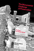 Cloonan |  The Monumental Challenge of Preservation | Buch |  Sack Fachmedien