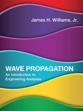  Wave Propagation | Buch |  Sack Fachmedien