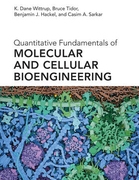  Quantitative Fundamentals of Molecular and Cellular Bioengineering | Buch |  Sack Fachmedien