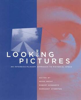  Looking into Pictures | Buch |  Sack Fachmedien
