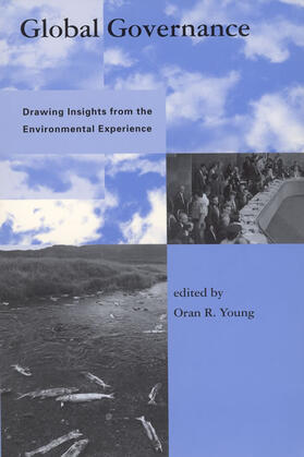 Young |  Global Governance - Drawing Insights from the Environmental Experience | Buch |  Sack Fachmedien