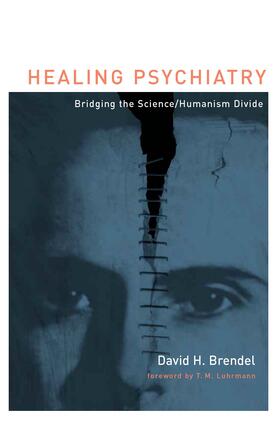 Brendel |  Healing Psychiatry | Buch |  Sack Fachmedien