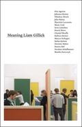 Szewczyk |  Meaning Liam Gillick | Buch |  Sack Fachmedien