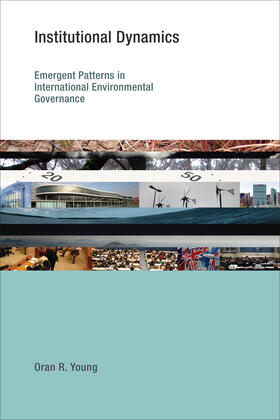 Young |  Institutional Dynamics: Emergent Patterns in International Environmental Governance | Buch |  Sack Fachmedien