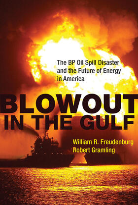 Freudenburg / Gramling |  Blowout in the Gulf | Buch |  Sack Fachmedien