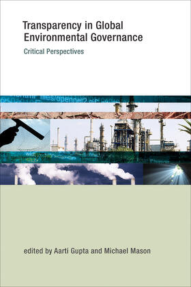 Gupta / Mason |  Transparency in Global Environmental Governance | Buch |  Sack Fachmedien