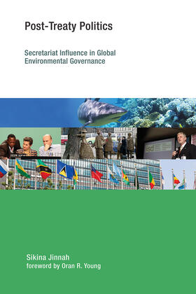 Jinnah |  Post-Treaty Politics: Secretariat Influence in Global Environmental Governance | Buch |  Sack Fachmedien
