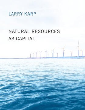 Karp |  Natural Resources as Capital | Buch |  Sack Fachmedien
