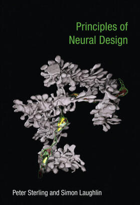 Sterling / Laughlin |  Principles of Neural Design | Buch |  Sack Fachmedien