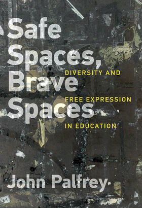Palfrey |  Safe Spaces, Brave Spaces | Buch |  Sack Fachmedien