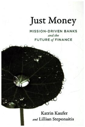 Kaeufer / Steponaitis |  Just Money | Buch |  Sack Fachmedien