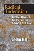 Hill |  Radical Indecision | Buch |  Sack Fachmedien