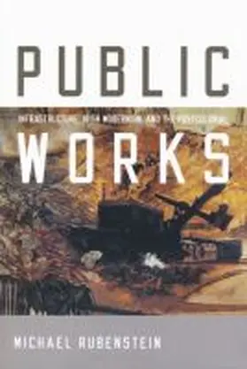 Rubenstein |  Public Works | Buch |  Sack Fachmedien