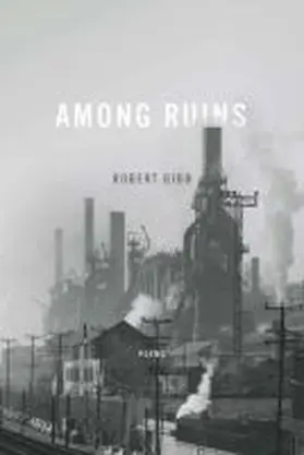 Gibb |  Among Ruins | Buch |  Sack Fachmedien