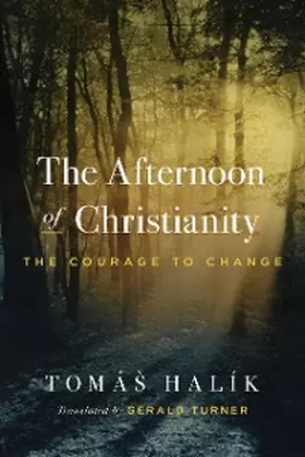 Halík |  The Afternoon of Christianity | eBook | Sack Fachmedien