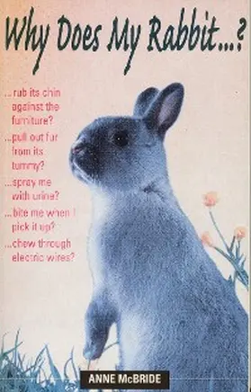 Mcbride |  Why Does My Rabbit...? | eBook | Sack Fachmedien
