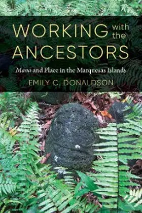 Donaldson |  Working with the Ancestors | eBook | Sack Fachmedien