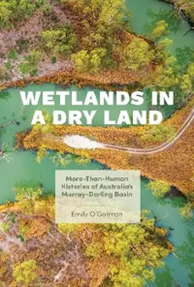 O'Gorman |  Wetlands in a Dry Land | eBook | Sack Fachmedien
