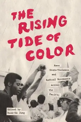 Jung |  The Rising Tide of Color | eBook | Sack Fachmedien
