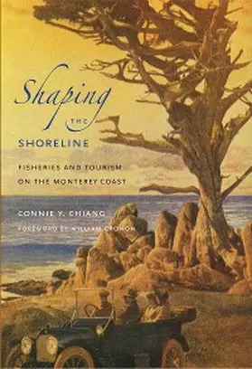 Chiang |  Shaping the Shoreline | eBook | Sack Fachmedien