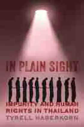 Haberkorn |  In Plain Sight | Buch |  Sack Fachmedien