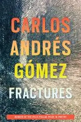  Fractures | Buch |  Sack Fachmedien