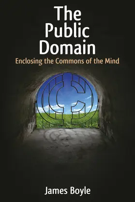 Boyle |  The Public Domain | eBook | Sack Fachmedien