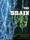 DeSalle / Tattersall |  The Brain | eBook | Sack Fachmedien