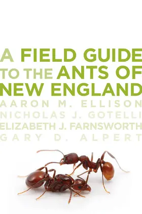 Ellison / Gotelli / Farnsworth |  A Field Guide to the Ants of New England | eBook | Sack Fachmedien