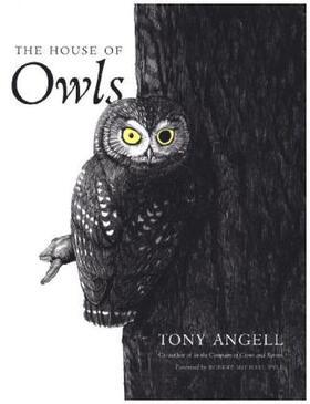 Angell |  The House of Owls | Buch |  Sack Fachmedien