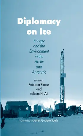 Pincus / Ali |  Diplomacy on Ice | eBook | Sack Fachmedien