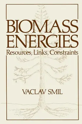 Smil | Biomass Energies | Buch | 978-0-306-41312-4 | www.sack.de