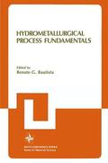 Bautista |  Hydrometallurgical Process Fundamentals | Buch |  Sack Fachmedien