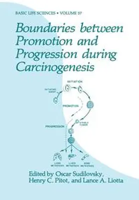 Sudilovsky / Pitot / Liotta |  Boundaries between Promotion and Progression during Carcinogenesis | Buch |  Sack Fachmedien